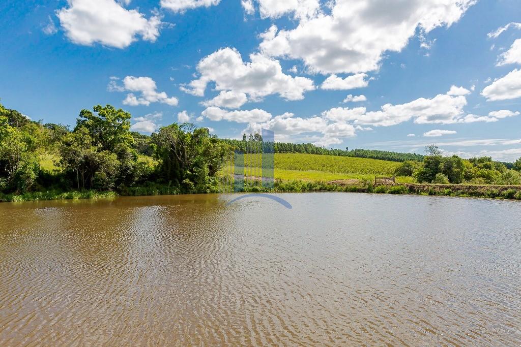 Casa, 4 quartos, 200 m² - Foto 54