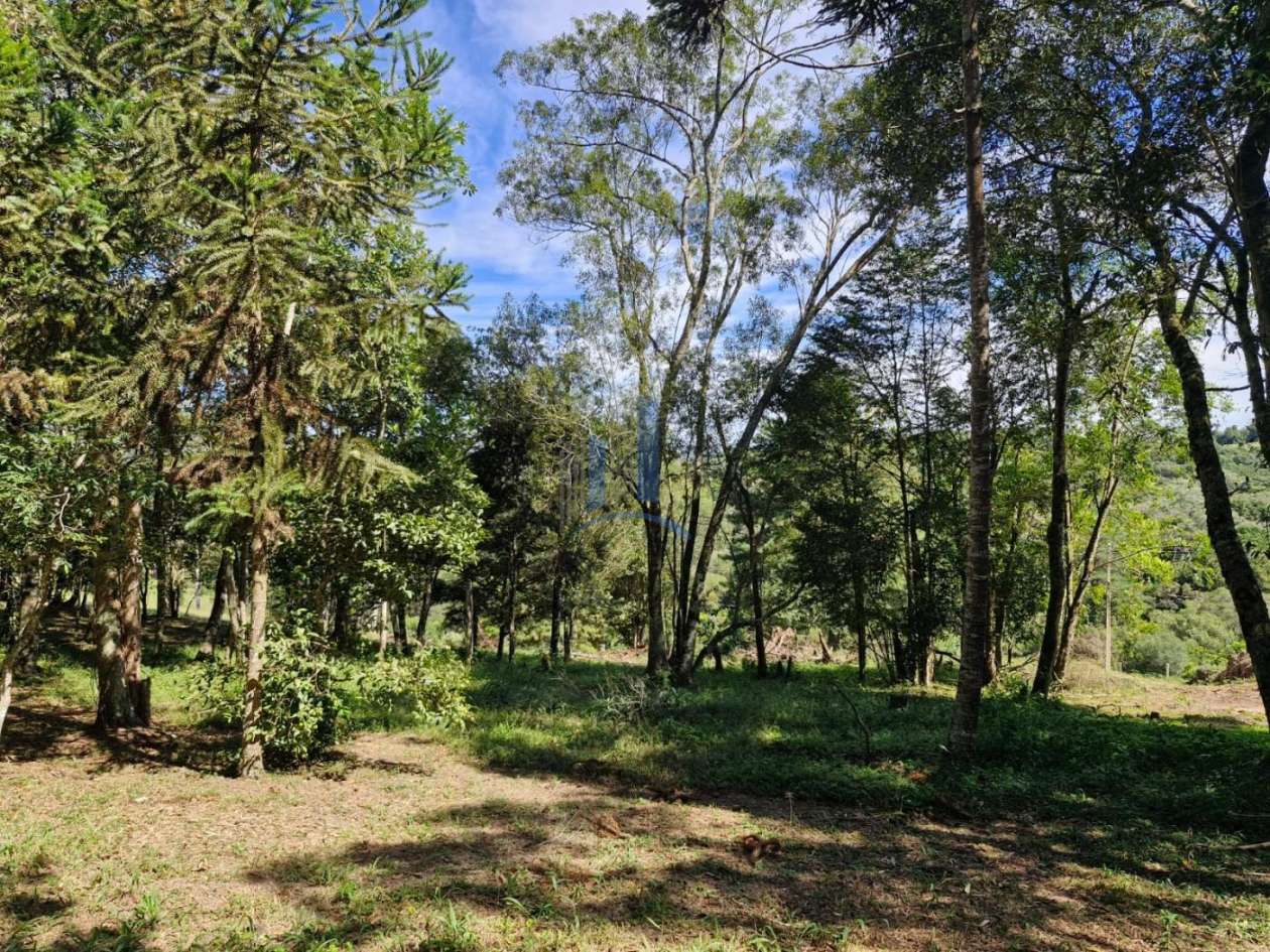 Terreno, 1090 m² - Foto 7