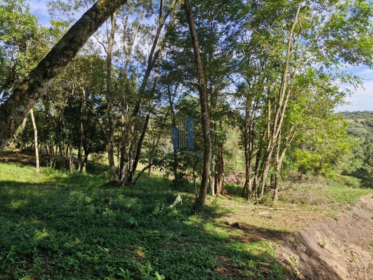 Terreno, 1090 m² - Foto 10