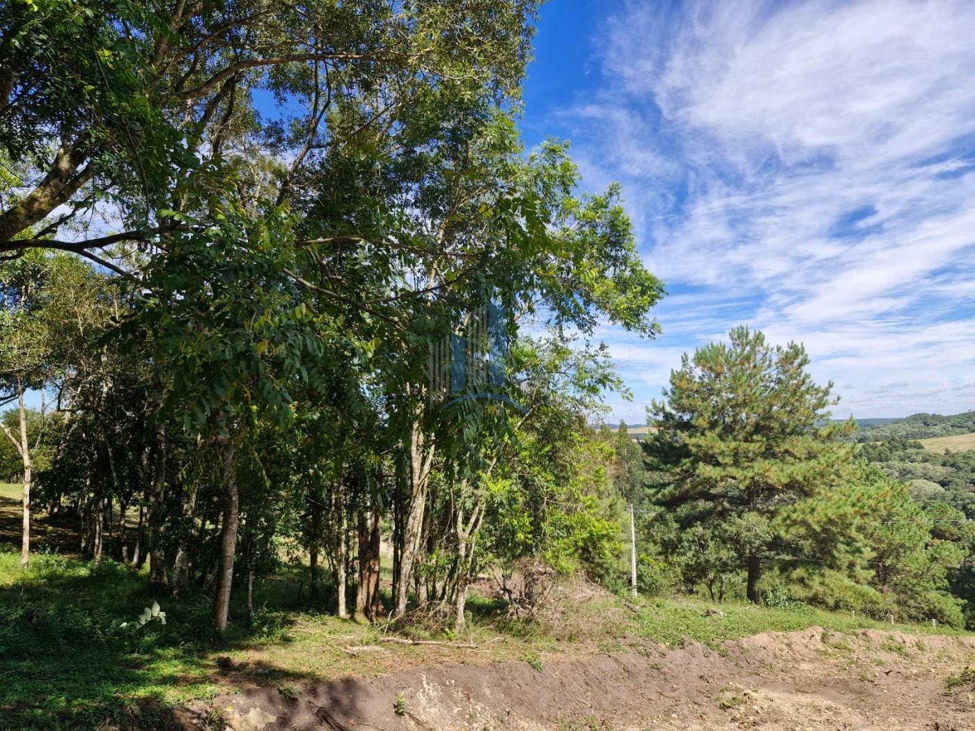 Terreno, 1090 m² - Foto 13