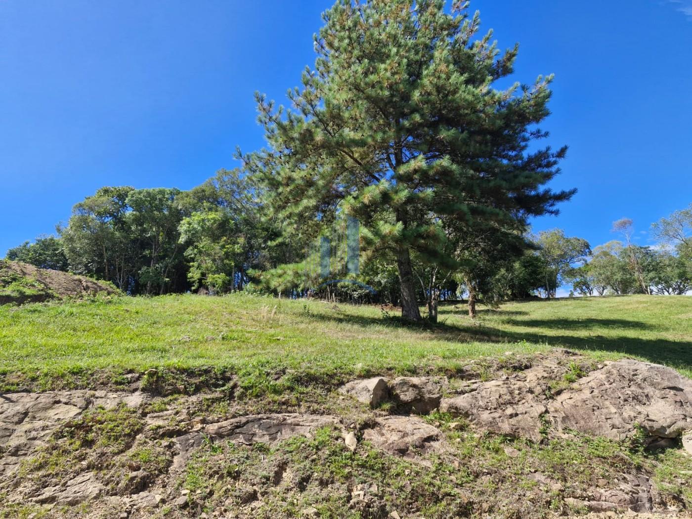 Terreno, 1090 m² - Foto 3