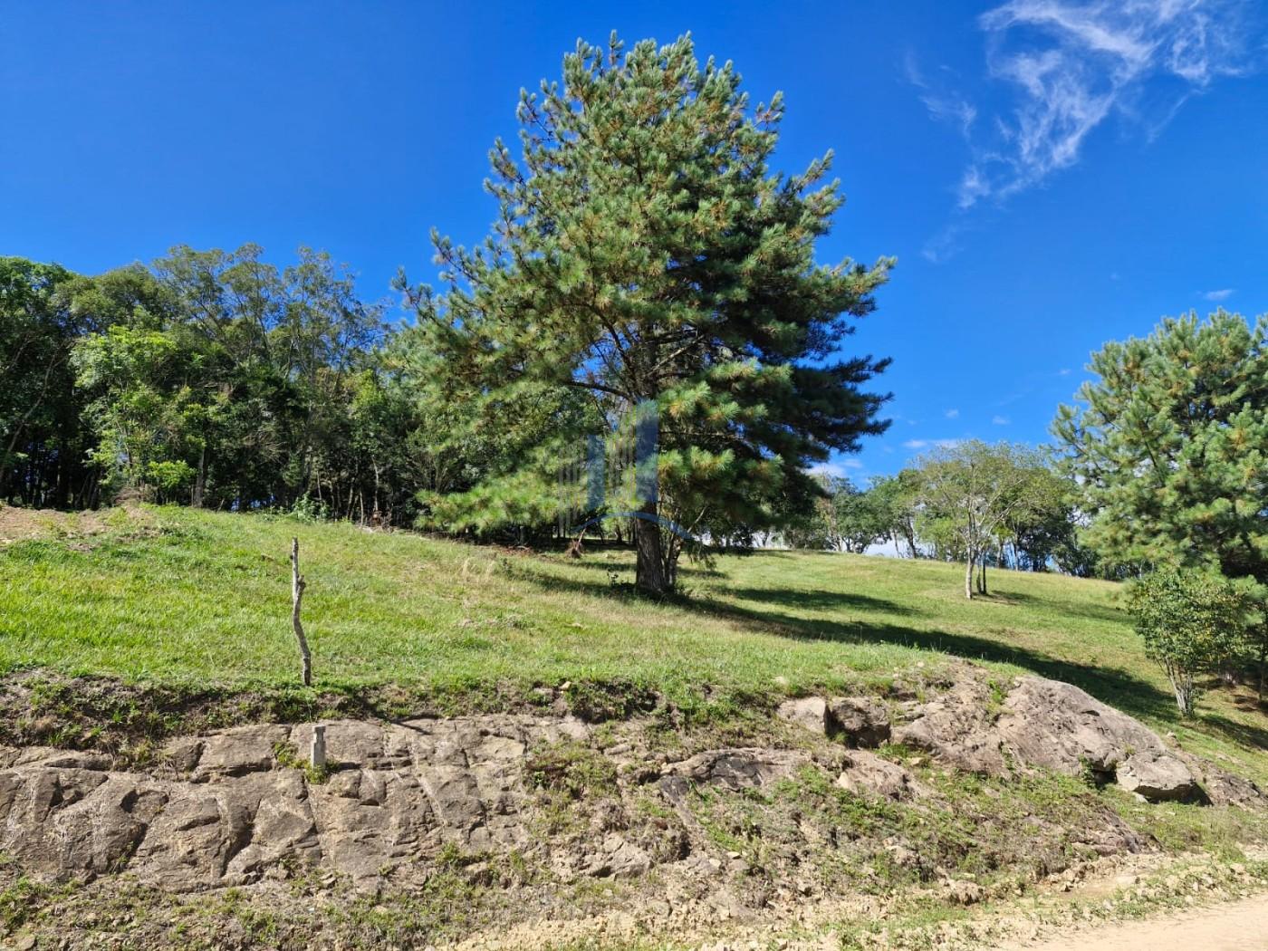 Terreno, 1090 m² - Foto 2