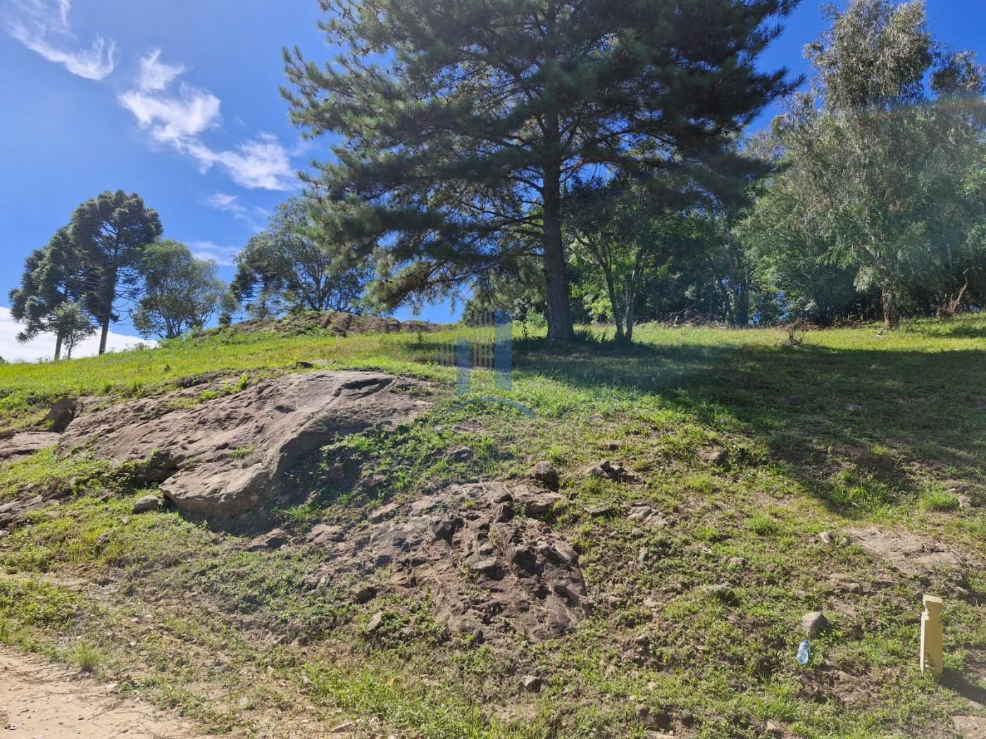 Terreno, 1090 m² - Foto 5