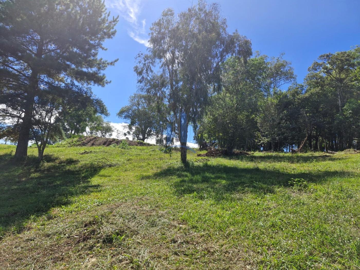 Terreno, 1090 m² - Foto 8