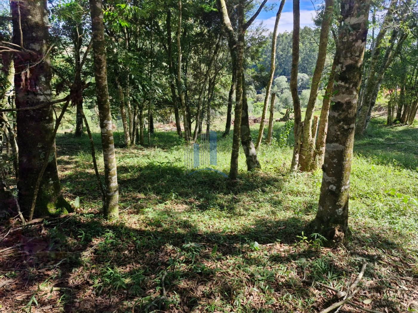 Terreno, 1090 m² - Foto 12