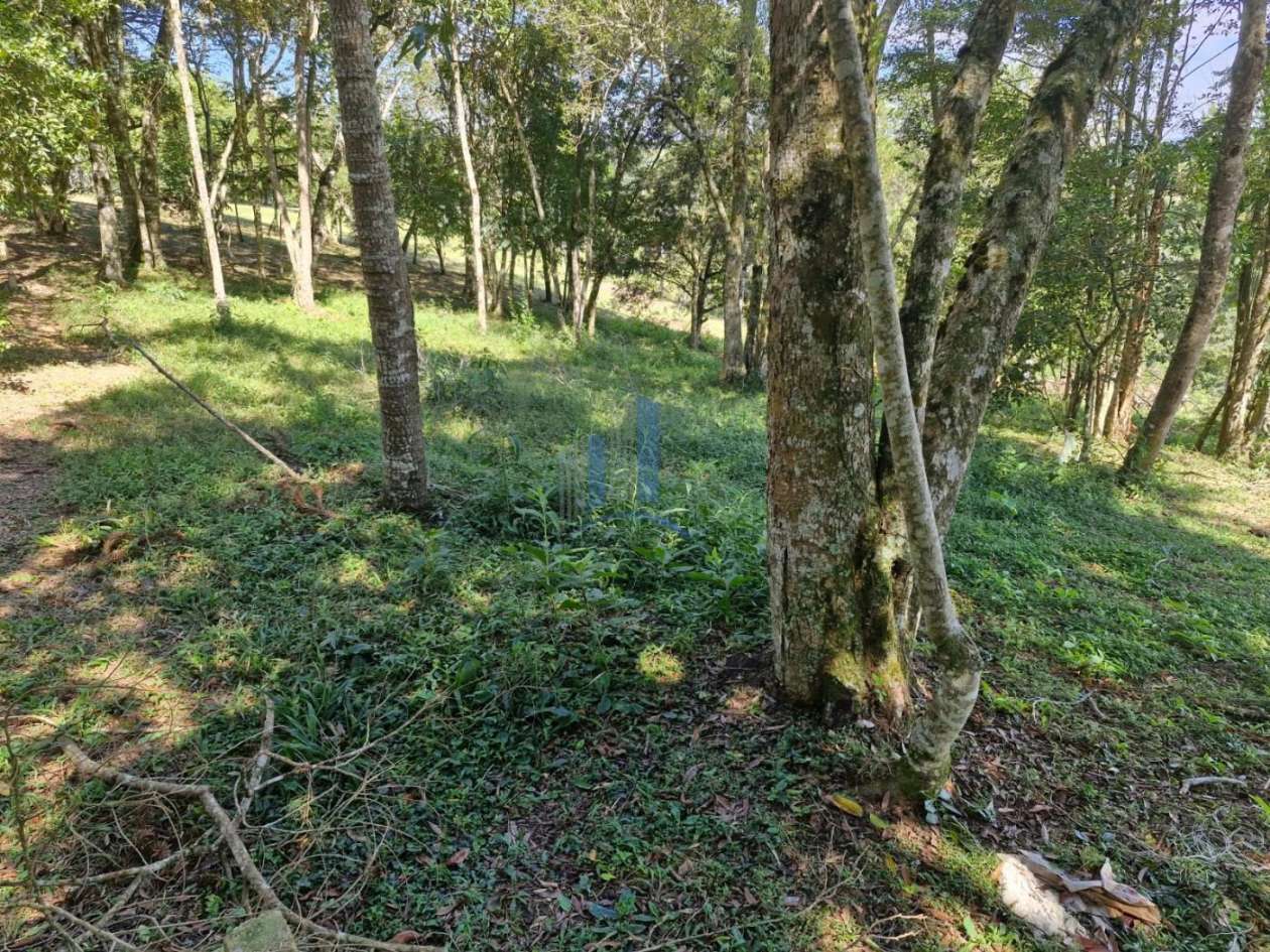 Terreno, 1090 m² - Foto 6