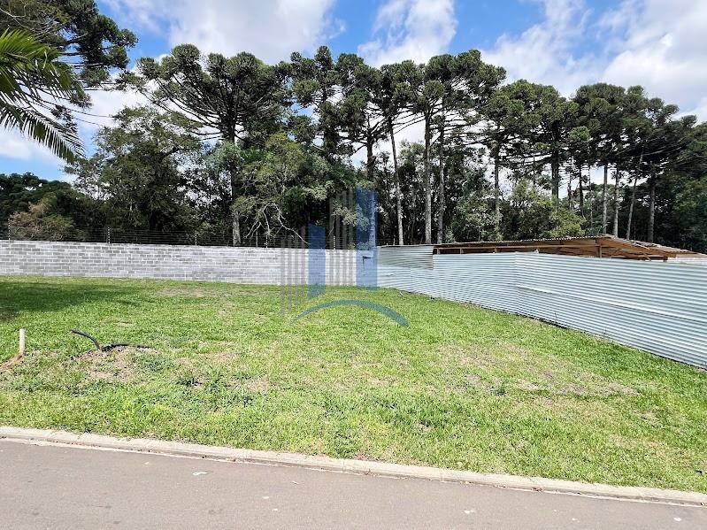 Terreno, 774 m² - Foto 3