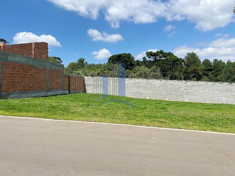 Terreno, 774 m² - Foto 6
