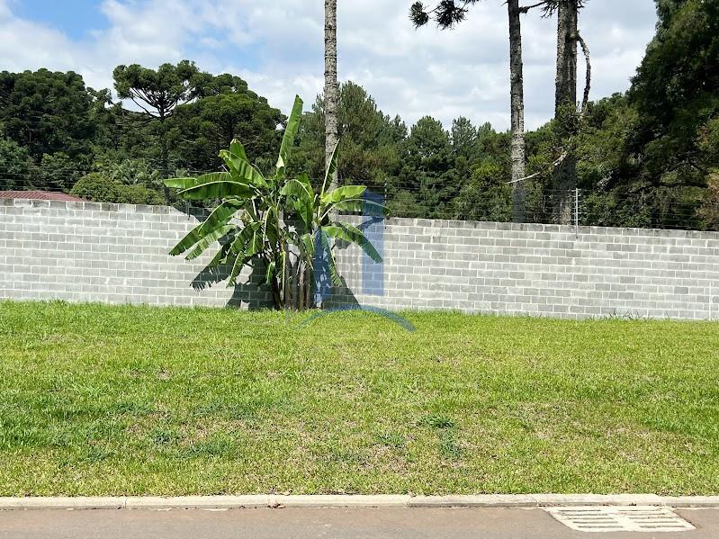 Terreno, 774 m² - Foto 14